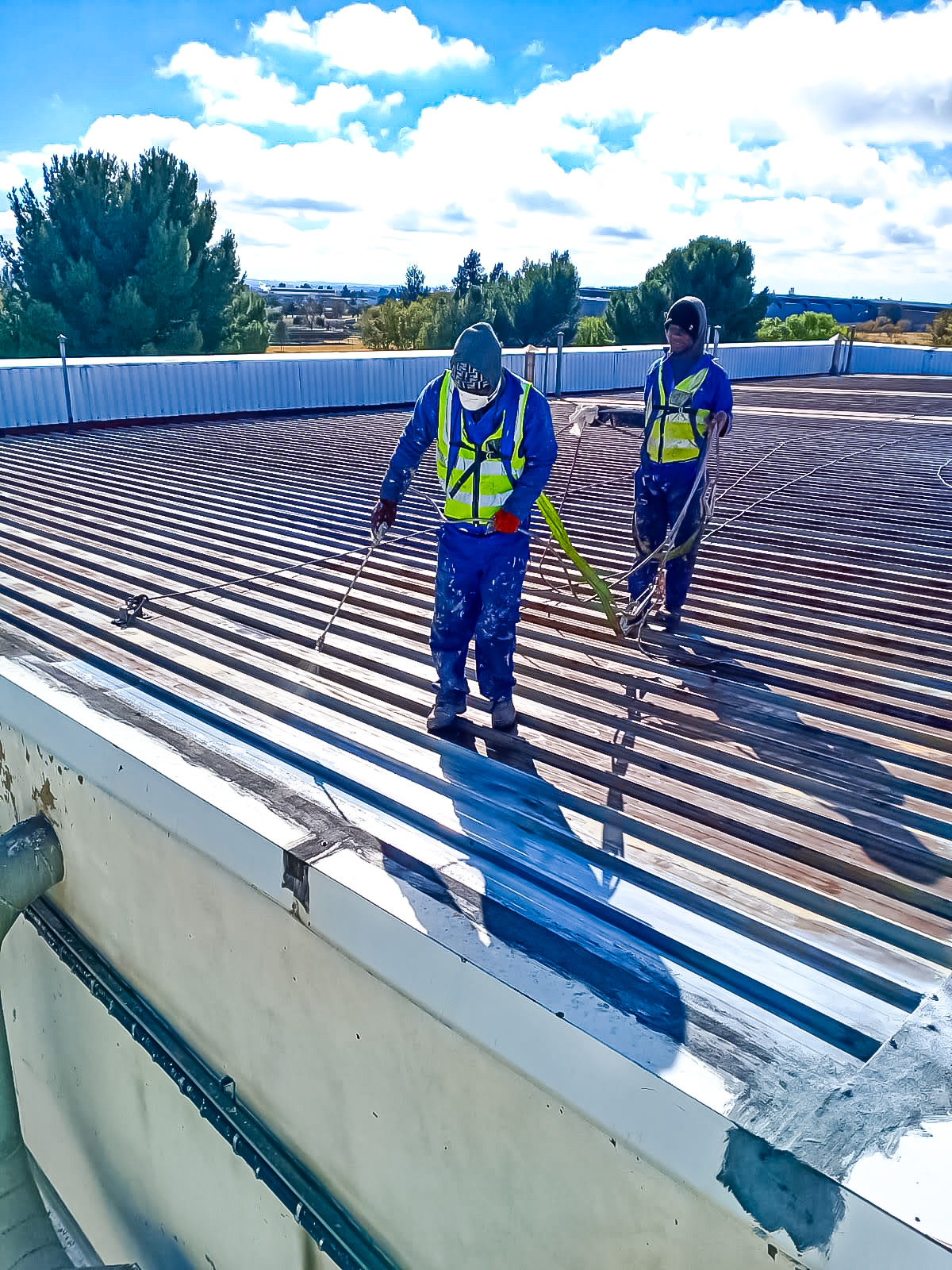 Sicon Group roofer working at height on a Gauteng property